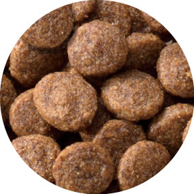 ペットライン JPスタイル 和の究み セレクトヘルスケア 腎臓ガード 2種の味アソート 200g(25g×8袋)×36袋