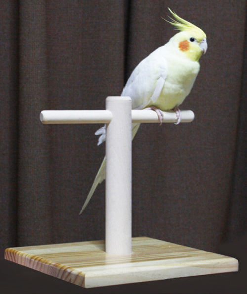 GB ROOM STAND 止まり木 T型×1点