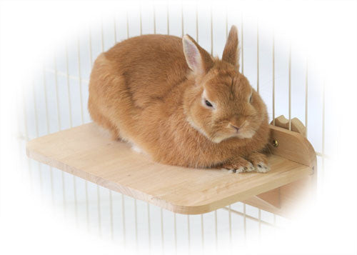 サンコー リラックステージ（Ｍ）×1点